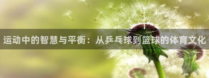 MK体育官网下载联系电话：运动中的智慧与平衡：从乒乓