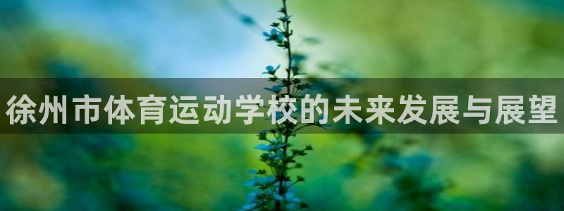 MK体育官方正版app娱乐代理怎么样