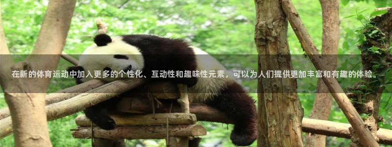 MK体育官网下载招商电话号码查询是多少：在新的体育运