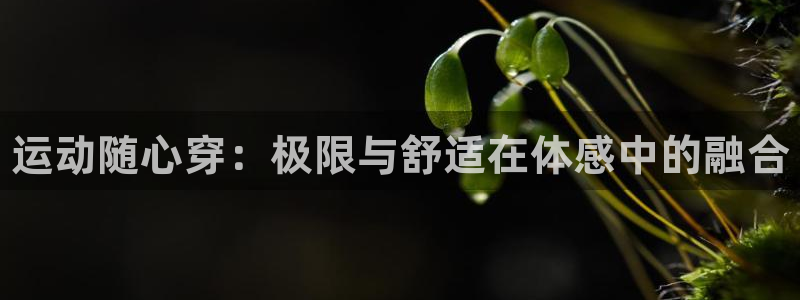 MK体育官方正版app娱乐首页官网下载：运动随心穿：