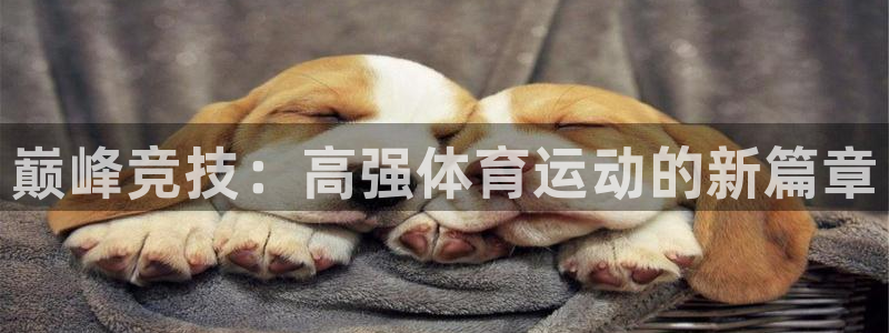 海南MK体育官网下载发展怎么样：巅峰竞技：高强体育运