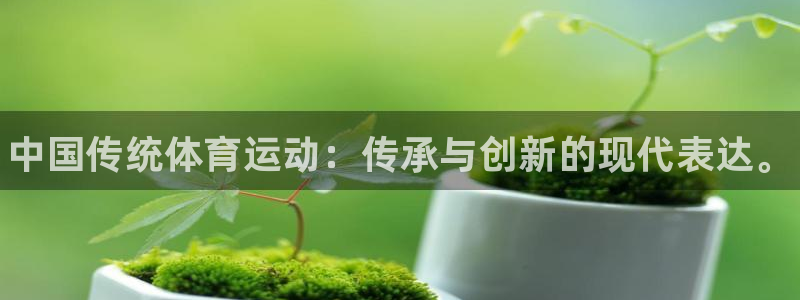 MK体育官方正版app集团E.ON：中国传统体育运动