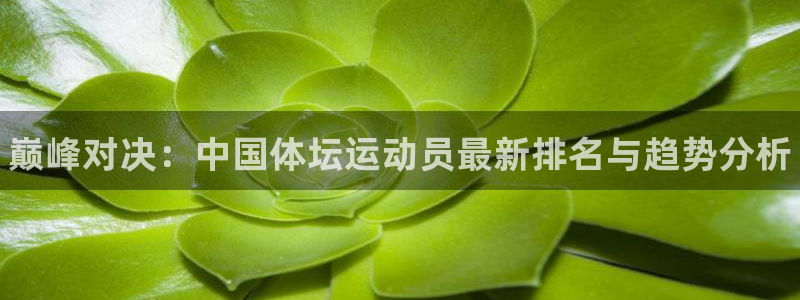 MK体育官网下载招商电话是多少啊：巅峰对决：中国体坛
