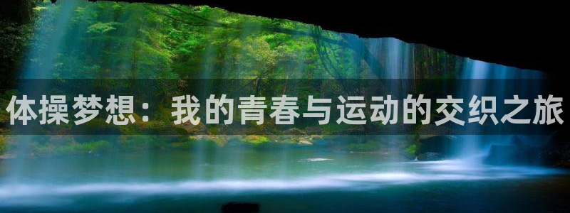 MK体育官方正版app集团logo：体操梦想：我的青