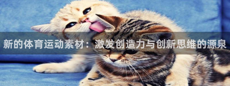 MK体育官网下载招商电话地址是多少：新的体育运动素材：激发创