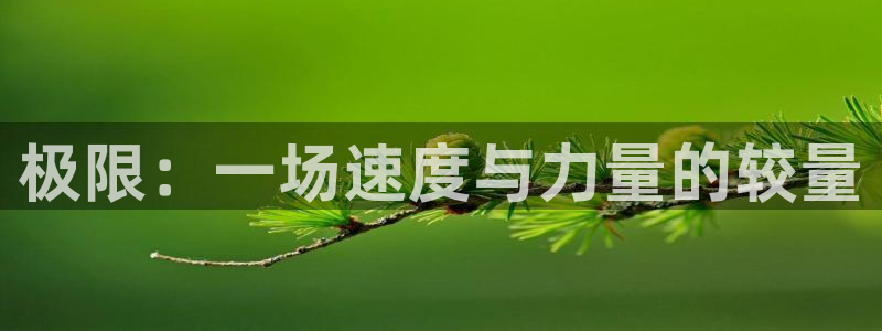 MK体育官网下载招商电话号码是多少：极限：一场速度与