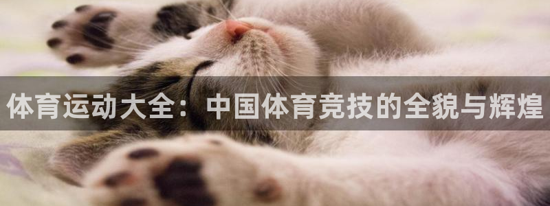 注册MK体育官方正版app：体育运动大全：中国体育竞