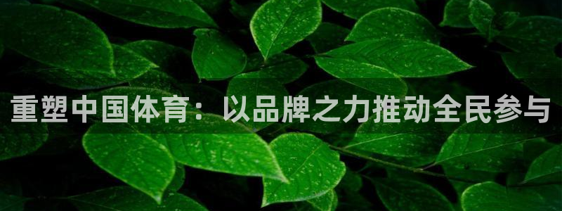 MK体育官网下载招商电话是多少啊：重塑中国体育：以品