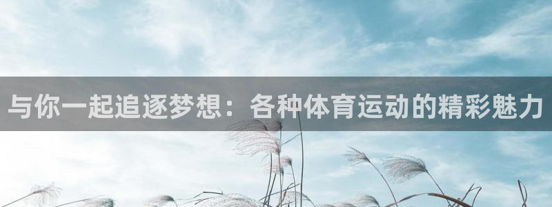 MK体育官方正版app娱乐平台