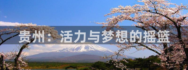 MK体育官方正版app科技：贵州：活力与梦想的摇篮