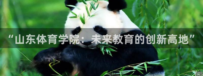 MK体育官方正版app娱乐网站：“山东体育学院：未来教育的创