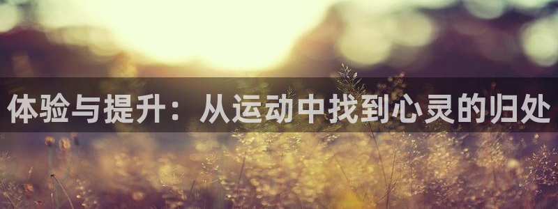 海南MK体育官网下载发展怎么样：体验与提升：从运动中找到心灵