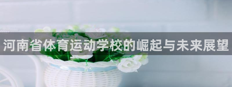 海南MK体育官网下载发展怎么样