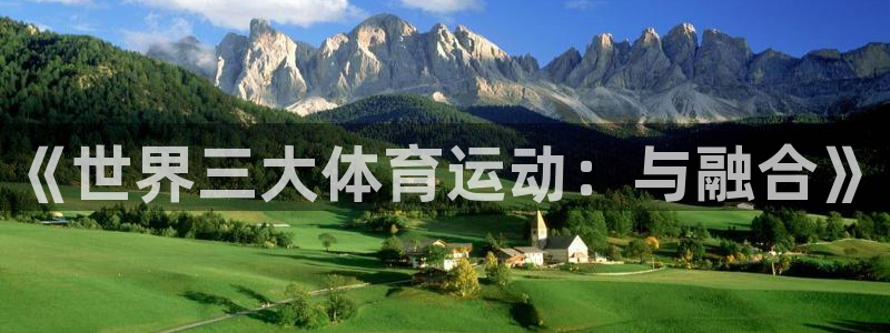 MK体育官方正版app集团简介