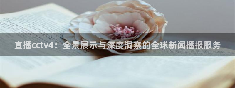 松鼠直播