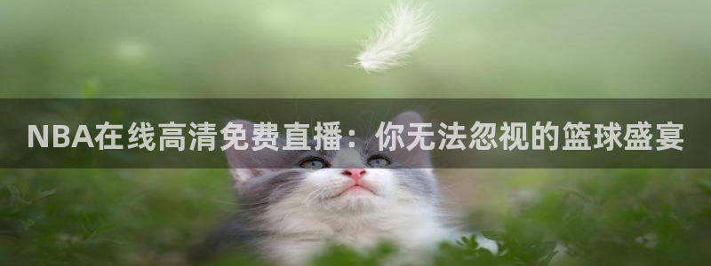 松鼠体育
