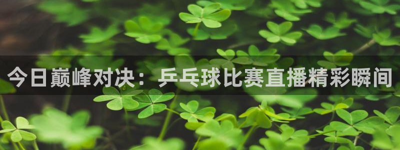 松鼠网官方下载