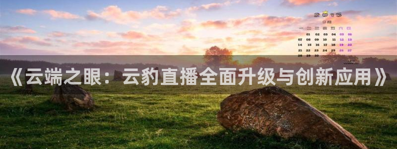 松鼠直播