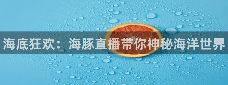 松鼠直播体育免费：海底狂欢：海豚直播带你神秘海洋世界