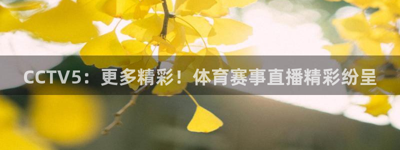 松鼠网官方下载：CCTV5：更多精彩！体育赛事直播精彩纷呈
