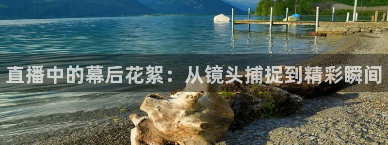 松鼠直播：直播中的幕后花絮：从镜头捕捉到精彩瞬间