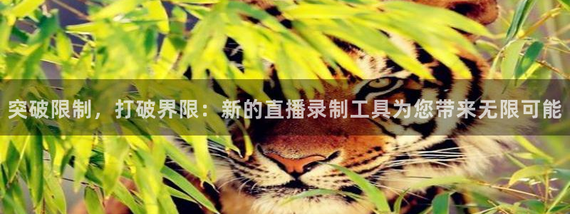 松鼠平台：突破限制，打破界限：新的直播录制工具为您带来无限可能