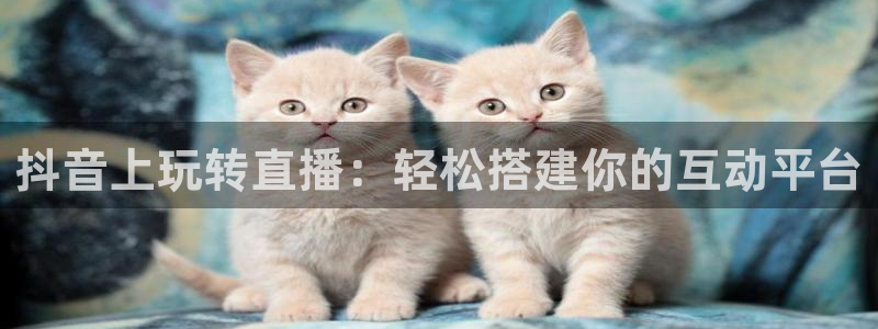 松鼠直播体育：抖音上玩转直播：轻松搭建你的互动平台