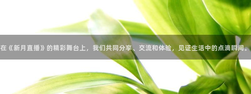 松鼠平台：在《新月直播》的精彩舞台上，我们共同分享、交流和体验，见证生活中的点滴瞬间。