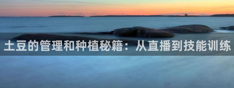 松鼠体育在线直播：土豆的管理和种植秘籍：从直播到技能训练